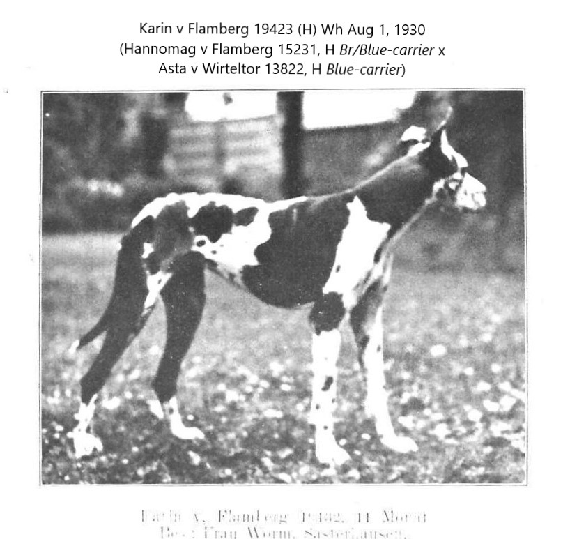 Karin v Flamberg